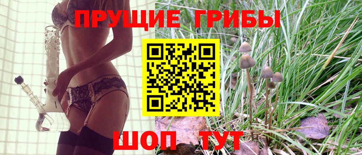 купить наркотик  Вход с VPN  Кириши  Галлюциногенные грибы GOLDEN TEACHER 