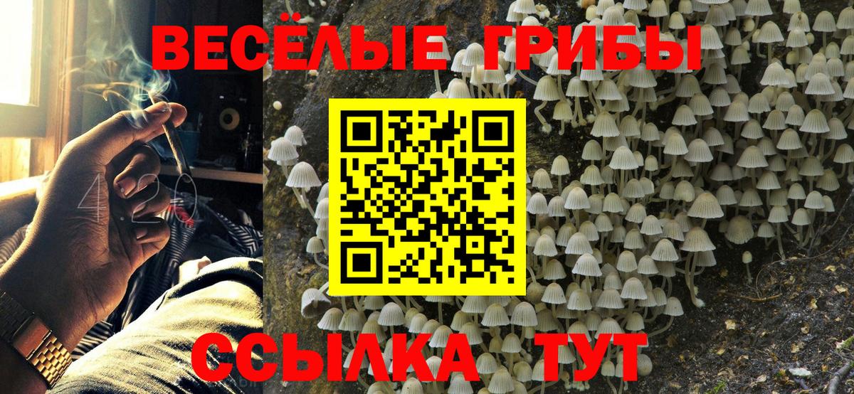 Купить  ГАШ  Вход с VPN  COCAIN  МЕТАМФЕТАМИН  МЕФ  Лсд 25  Кириши  МЕТАДОН  МЕФ   Каннабис 